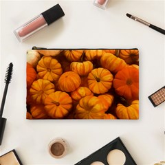 Pumpkins Tiny Gourds Pile Cosmetic Bag (medium) by bloomingvinedesign