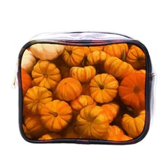 Pumpkins Tiny Gourds Pile Mini Toiletries Bag (one Side) by bloomingvinedesign