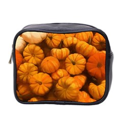 Pumpkins Tiny Gourds Pile Mini Toiletries Bag (two Sides) by bloomingvinedesign