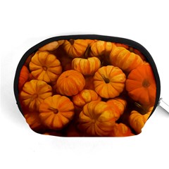 Pumpkins Tiny Gourds Pile Accessory Pouch (medium)