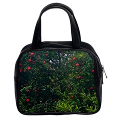 Apple Tree Close Up Classic Handbag (two Sides) by bloomingvinedesign