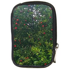 Apple Tree Close Up Compact Camera Leather Case by bloomingvinedesign