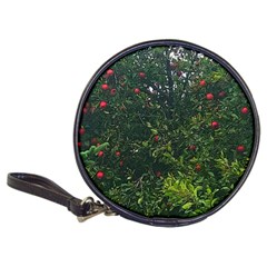 Apple Tree Close Up Classic 20-cd Wallets by bloomingvinedesign