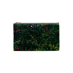 Apple Tree Close Up Cosmetic Bag (small) by bloomingvinedesign