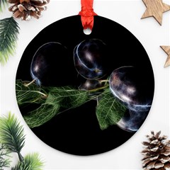 Plums Photo Art Fractalius Fruit Ornament (round) by Sapixe