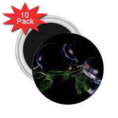 Plums Photo Art Fractalius Fruit 2 25  Magnets (10 Pack)  by Sapixe