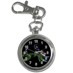 Plums Photo Art Fractalius Fruit Key Chain Watches by Sapixe