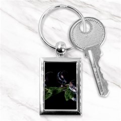 Plums Photo Art Fractalius Fruit Key Chains (rectangle)  by Sapixe