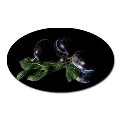 Plums Photo Art Fractalius Fruit Oval Magnet by Sapixe