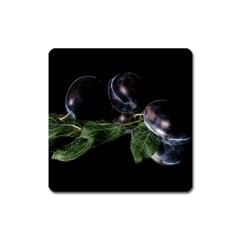 Plums Photo Art Fractalius Fruit Square Magnet by Sapixe