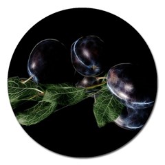 Plums Photo Art Fractalius Fruit Magnet 5  (round) by Sapixe