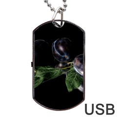 Plums Photo Art Fractalius Fruit Dog Tag Usb Flash (one Side) by Sapixe