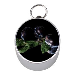 Plums Photo Art Fractalius Fruit Mini Silver Compasses by Sapixe