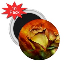 Rose Flower Petal Floral Love 2 25  Magnets (10 Pack)  by Sapixe