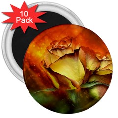 Rose Flower Petal Floral Love 3  Magnets (10 Pack) 