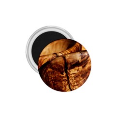 Olive Wood Wood Grain Structure 1 75  Magnets by Sapixe