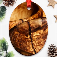 Olive Wood Wood Grain Structure Ornament (oval) by Sapixe