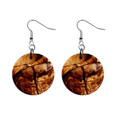 Olive Wood Wood Grain Structure Mini Button Earrings by Sapixe