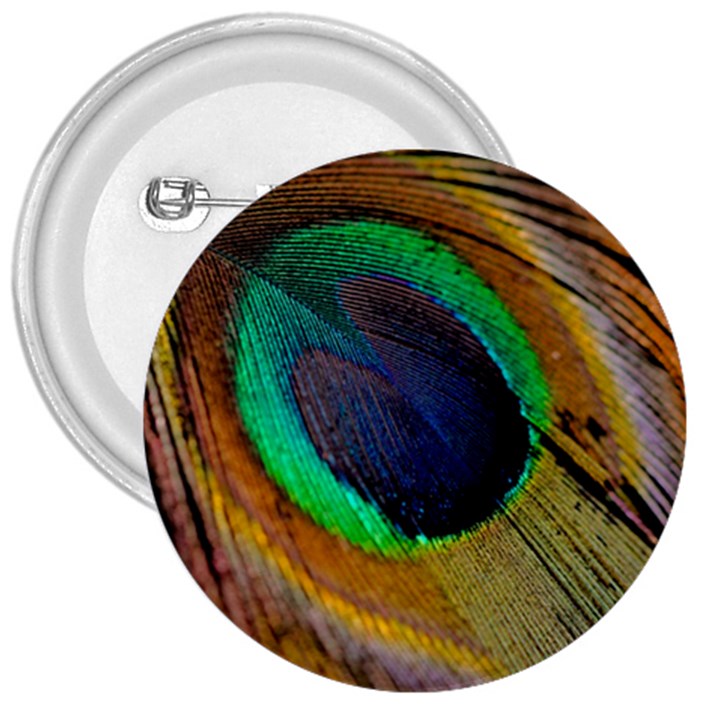 Bird Feather Background Nature 3  Buttons