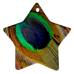 Bird Feather Background Nature Ornament (star) by Sapixe