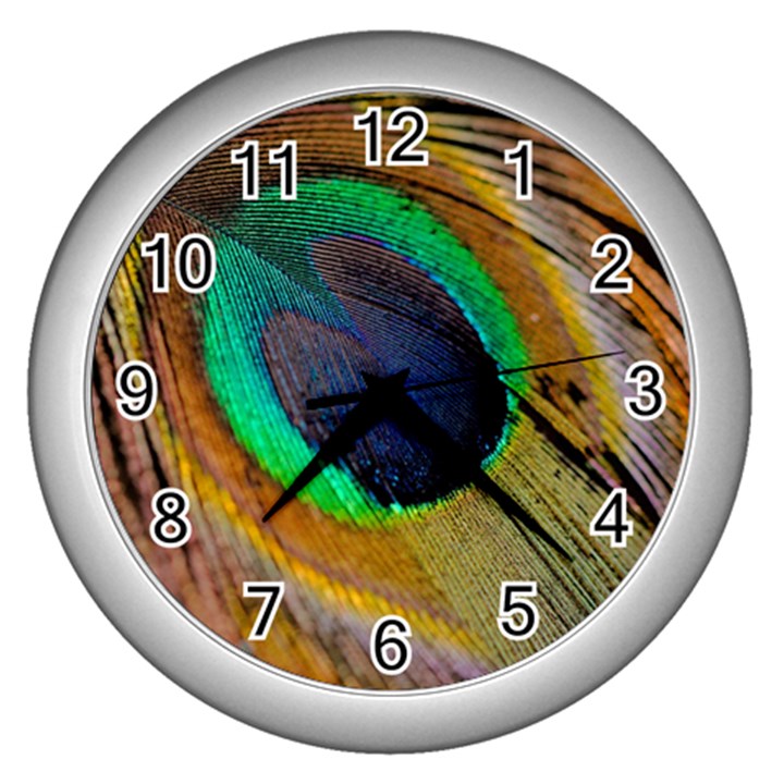 Bird Feather Background Nature Wall Clock (Silver)