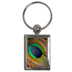 Bird Feather Background Nature Key Chains (rectangle)  by Sapixe