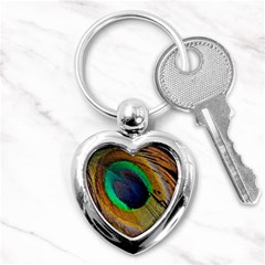 Bird Feather Background Nature Key Chains (heart)  by Sapixe