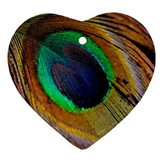 Bird Feather Background Nature Heart Ornament (two Sides) by Sapixe