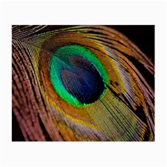 Bird Feather Background Nature Small Glasses Cloth (2-side) by Sapixe