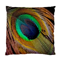 Bird Feather Background Nature Standard Cushion Case (two Sides) by Sapixe