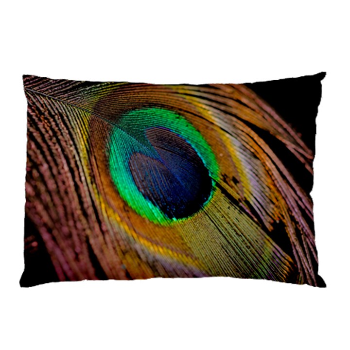 Bird Feather Background Nature Pillow Case