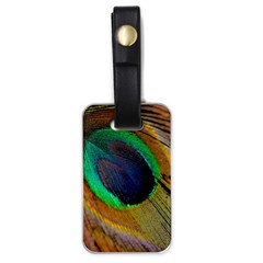 Bird Feather Background Nature Luggage Tags (one Side)  by Sapixe