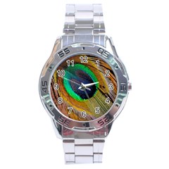 Bird Feather Background Nature Stainless Steel Analogue Watch by Sapixe