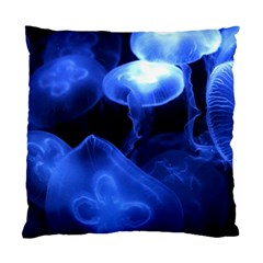 Jellyfish Sea Diving Sea Animal Standard Cushion Case (one Side) by Sapixe