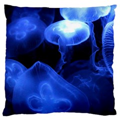 Jellyfish Sea Diving Sea Animal Large Cushion Case (one Side) by Sapixe