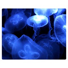 Jellyfish Sea Diving Sea Animal Double Sided Flano Blanket (medium)  by Sapixe