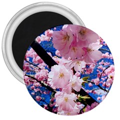 Flower Cherry Wood Tree Flowers 3  Magnets by Sapixe