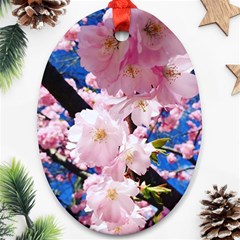 Flower Cherry Wood Tree Flowers Ornament (oval) by Sapixe