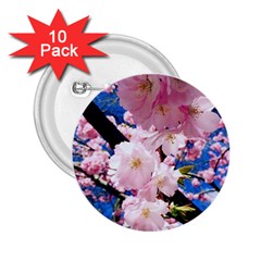 Flower Cherry Wood Tree Flowers 2 25  Buttons (10 Pack)  by Sapixe