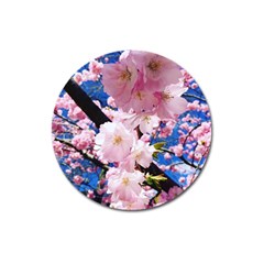 Flower Cherry Wood Tree Flowers Magnet 3  (round) by Sapixe