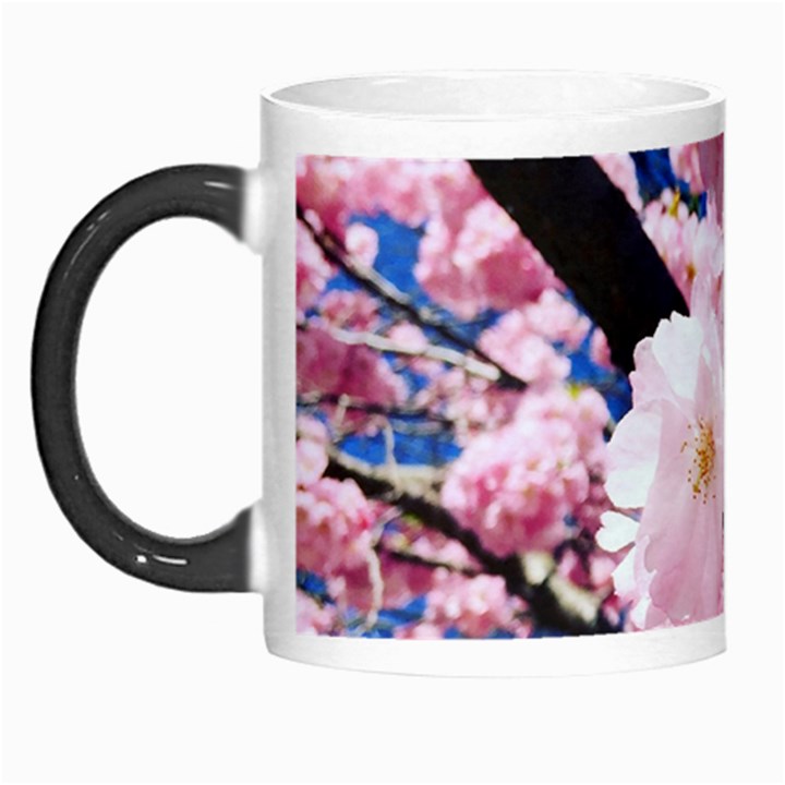 Flower Cherry Wood Tree Flowers Morph Mugs