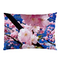 Flower Cherry Wood Tree Flowers Pillow Case by Sapixe