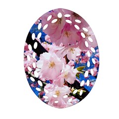 Flower Cherry Wood Tree Flowers Oval Filigree Ornament (two Sides)