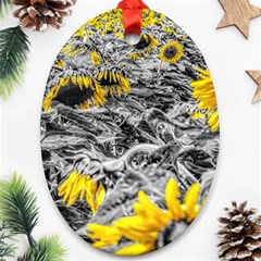 Sunflower Field Girasol Sunflower Ornament (oval) by Sapixe