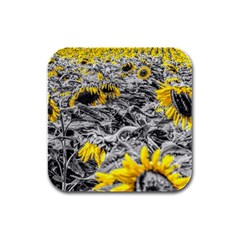 Sunflower Field Girasol Sunflower Rubber Square Coaster (4 Pack)  by Sapixe