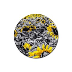 Sunflower Field Girasol Sunflower Rubber Coaster (round)  by Sapixe