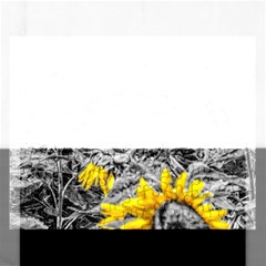 Sunflower Field Girasol Sunflower Rectangular Jigsaw Puzzl by Sapixe