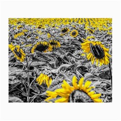 Sunflower Field Girasol Sunflower Small Glasses Cloth by Sapixe