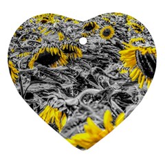 Sunflower Field Girasol Sunflower Heart Ornament (two Sides) by Sapixe