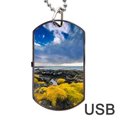 Iceland Nature Mountains Landscape Dog Tag Usb Flash (one Side) by Sapixe